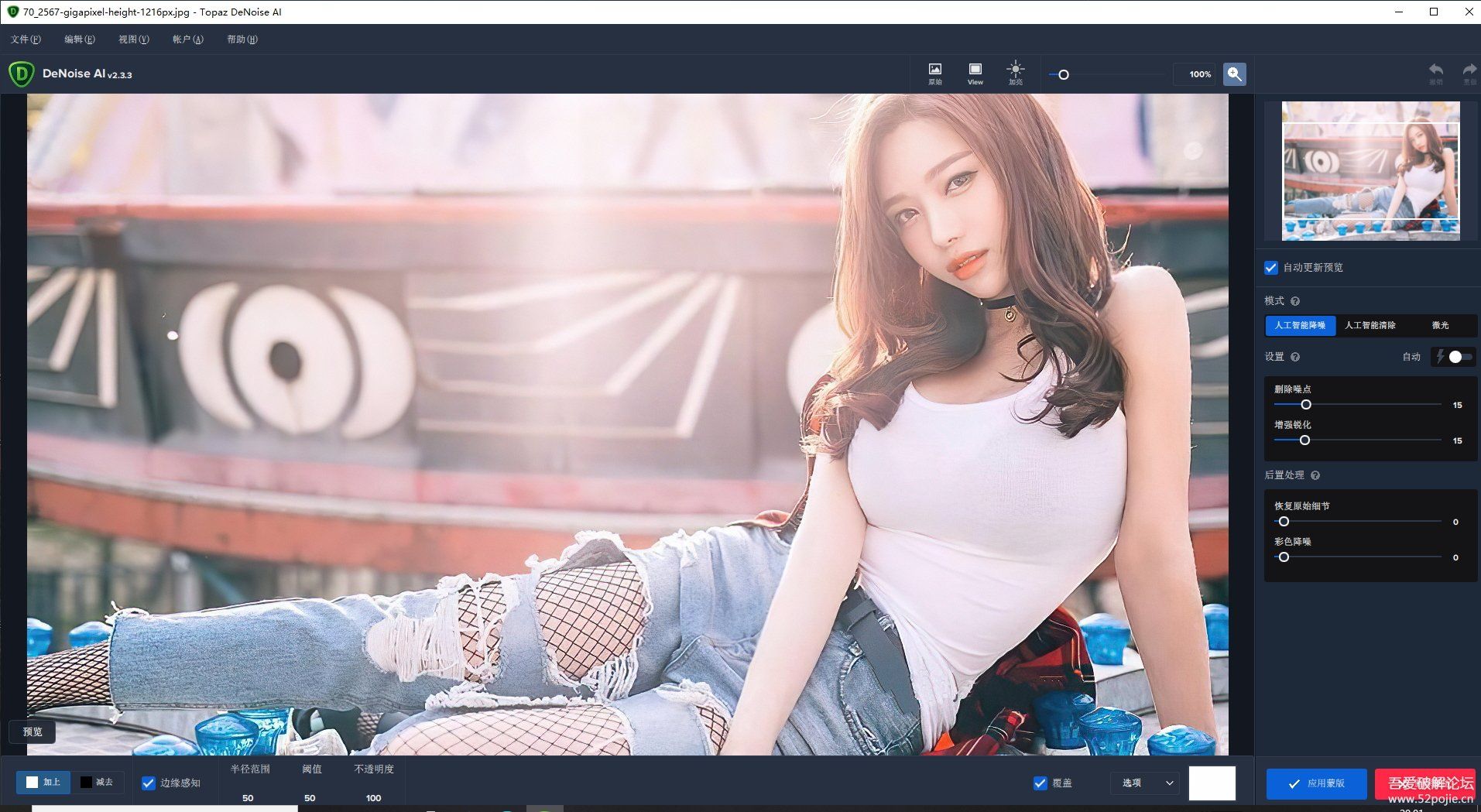 Topaz DeNoise AI 2.3.3 汉化补丁