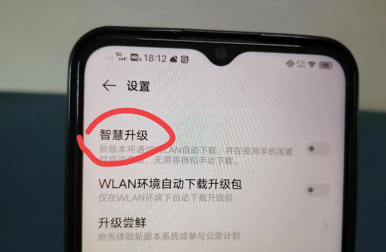 vivo手机系统更新老提示怎么关掉？手把手教