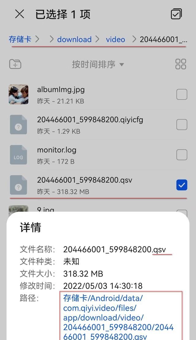 手机爱奇艺下载的视频在哪？怎么转换为MP4？让我来告知您