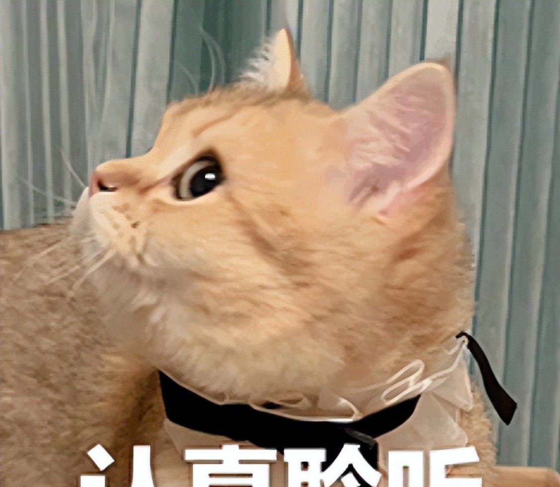 10分钟释放10GB空间！手机内存清理的技巧有哪些？
