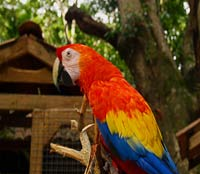 图片[928] - Android原生开发基础 - 宋马