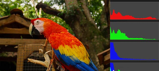 图片[926] - Android原生开发基础 - 宋马