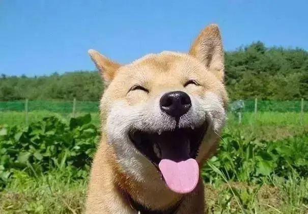 当我给小姐姐讲述为何黑客要挟制路由器DNS 该怎样实时发觉和防备的方法后，小姐姐那崇拜的眼神令我无法忘却 - 宋马