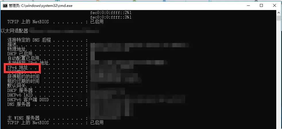 手把手教你如何查看自己电脑的IP地址