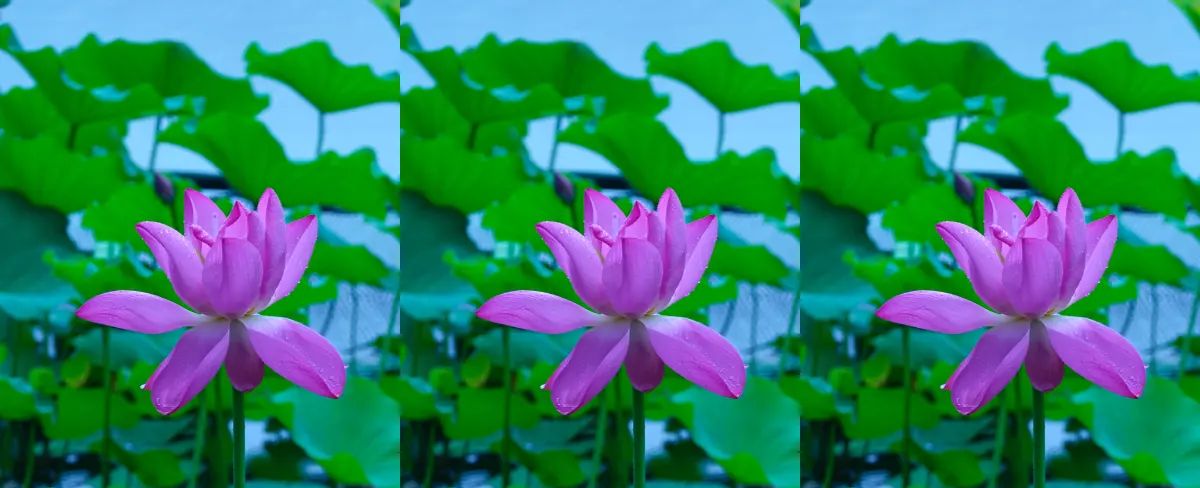 【My learning experience】学习笔记（154）“三屏壁纸”快捷指令设置