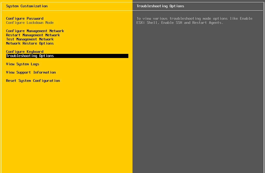 [Esxi6.7] ssh 密码登录及磁盘直通设置