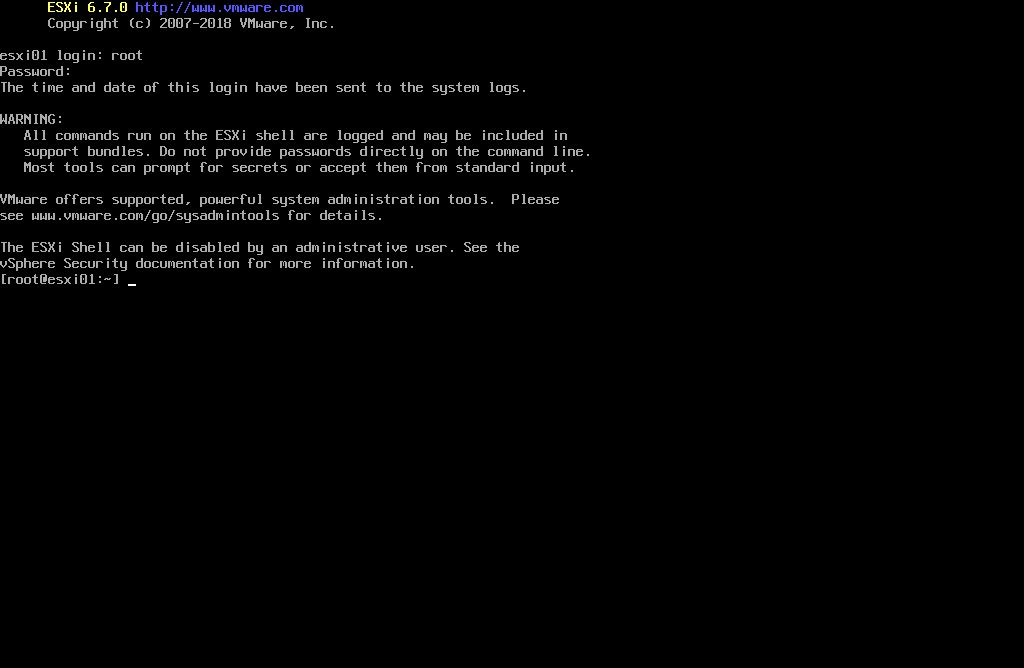 [Esxi6.7] ssh 密码登录及磁盘直通设置