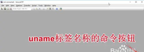 如何使用SecureCRT工具设置快捷自动输入指令