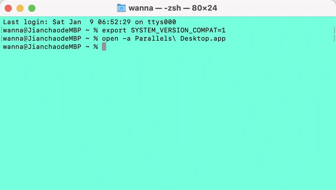 无法启动 Parallels Desktop,因为您的 Mac 操作系统缺少一些必需组件。 - 宋马