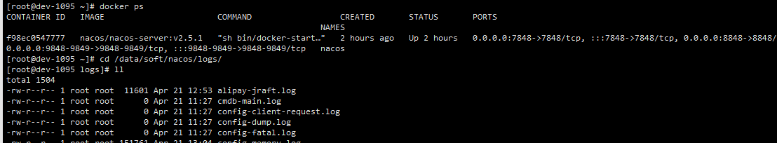 图片[4] - Spring Cloud2024.x实战 | nacos系列 | 第1篇：centos7.x下docker安装nacos2.5.1集群（3台物理机真实集群） - 宋马