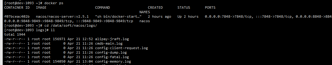 图片[3] - Spring Cloud2024.x实战 | nacos系列 | 第1篇：centos7.x下docker安装nacos2.5.1集群（3台物理机真实集群） - 宋马