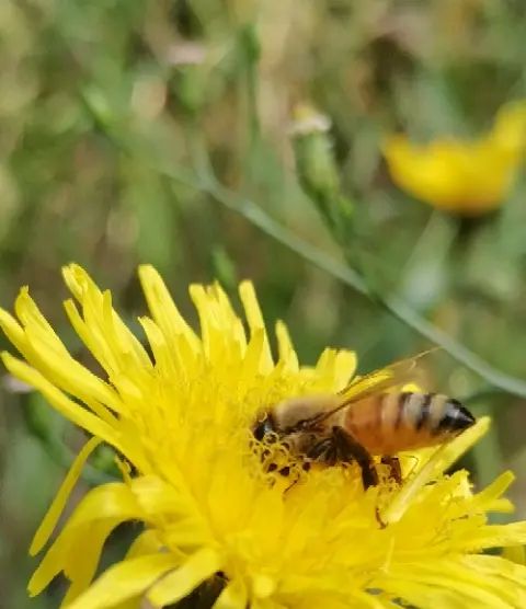 为人生的愿望设置一个顺序 - 宋马