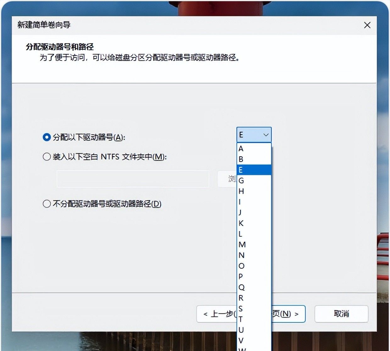 在 Windows 11 或 10 上删除、创建和格式化分区