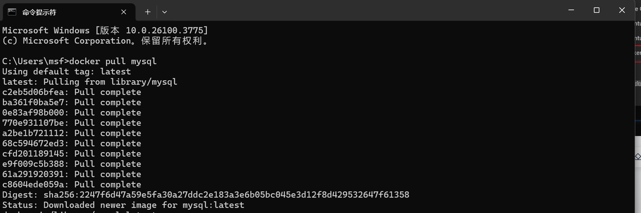 图片[20] - Docker 环境搭建与三大数据库（MySQL/Redis/MongoDB）部署教程 - 宋马