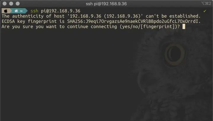 无公网IP，从公网SSH远程访问家中的树莓派