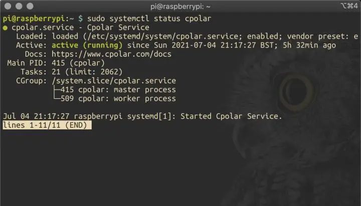 无公网IP，从公网SSH远程访问家中的树莓派