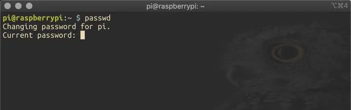 无公网IP，从公网SSH远程访问家中的树莓派