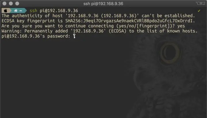 无公网IP，从公网SSH远程访问家中的树莓派