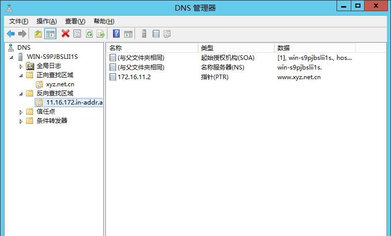 VMware Workstation环境下DNS的安装配置,并使用ubuntu来测试