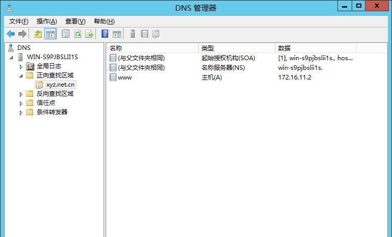 VMware Workstation环境下DNS的安装配置,并使用ubuntu来测试
