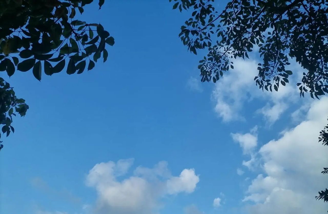 谢谢你，一直照亮着我