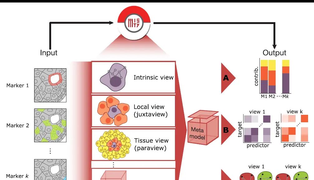 Spatial transcriptome | 空间依赖性，理解MISTy回答的三个问题 - 宋马