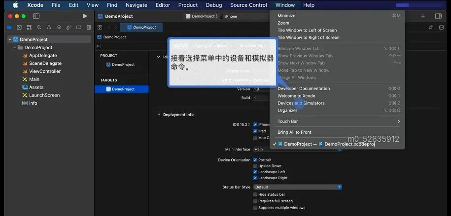 1.0 Info设置 权限  http 无线真机调试