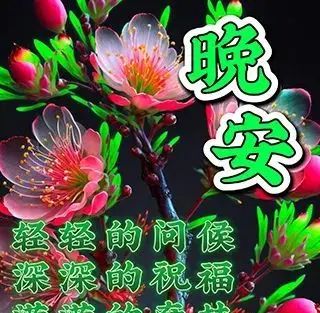 3月5日周日早上好新版精选祝福语问候语录唯美图片带字带问候语