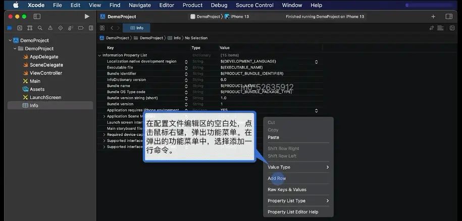 1.0 Info设置 权限  http 无线真机调试