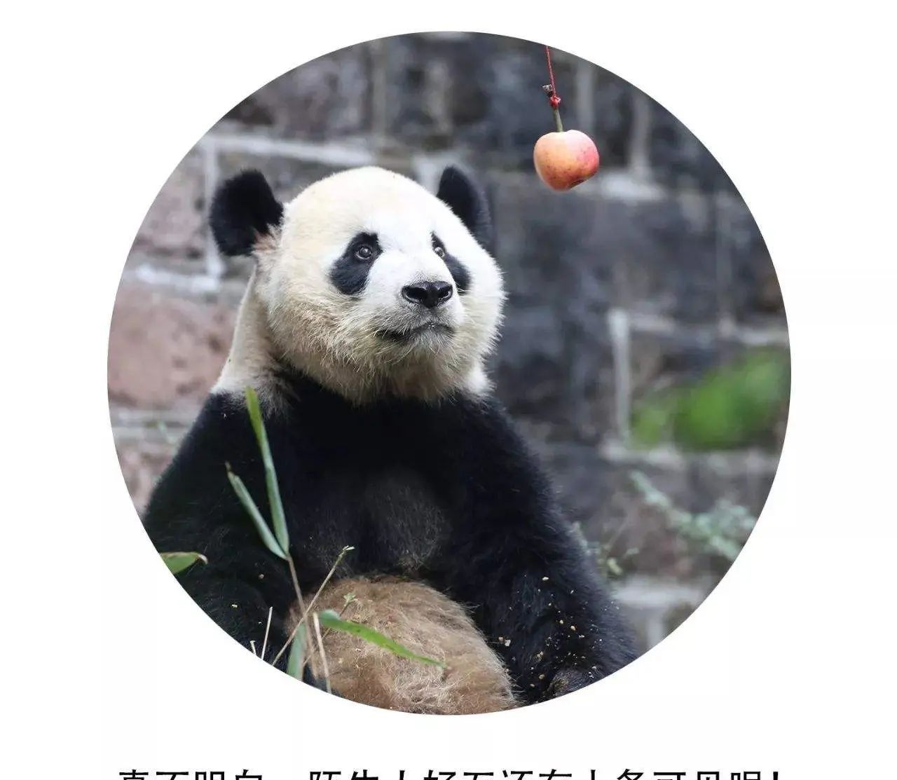 你的朋友圈为什么要设置三天可见？