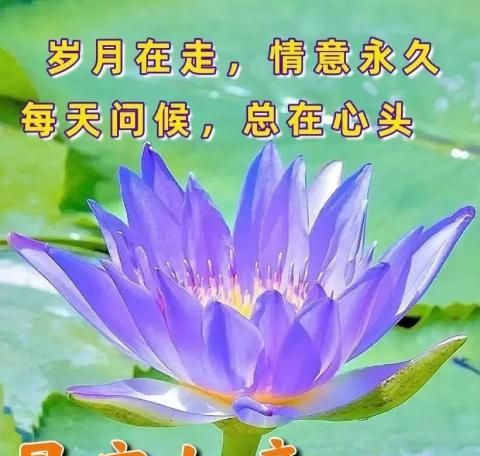 4月11日周二早上好，清晨祝福图片问候语