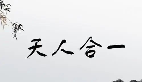 国学：阳明先生提到道问学、尊德性，啥意思？究极详解