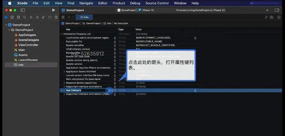 1.0 Info设置 权限  http 无线真机调试
