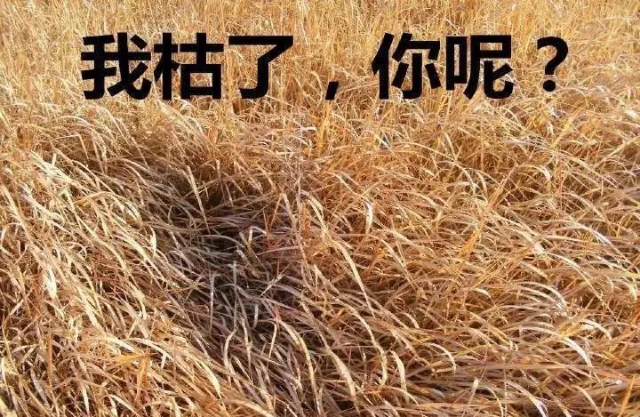 你的朋友圈也是仅三天可见吗？