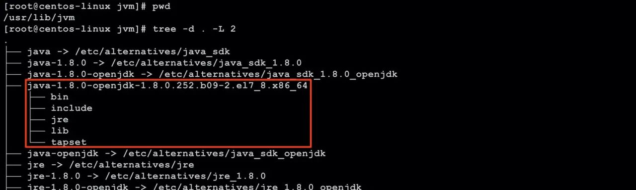 Linux虚拟机环境初始化设置