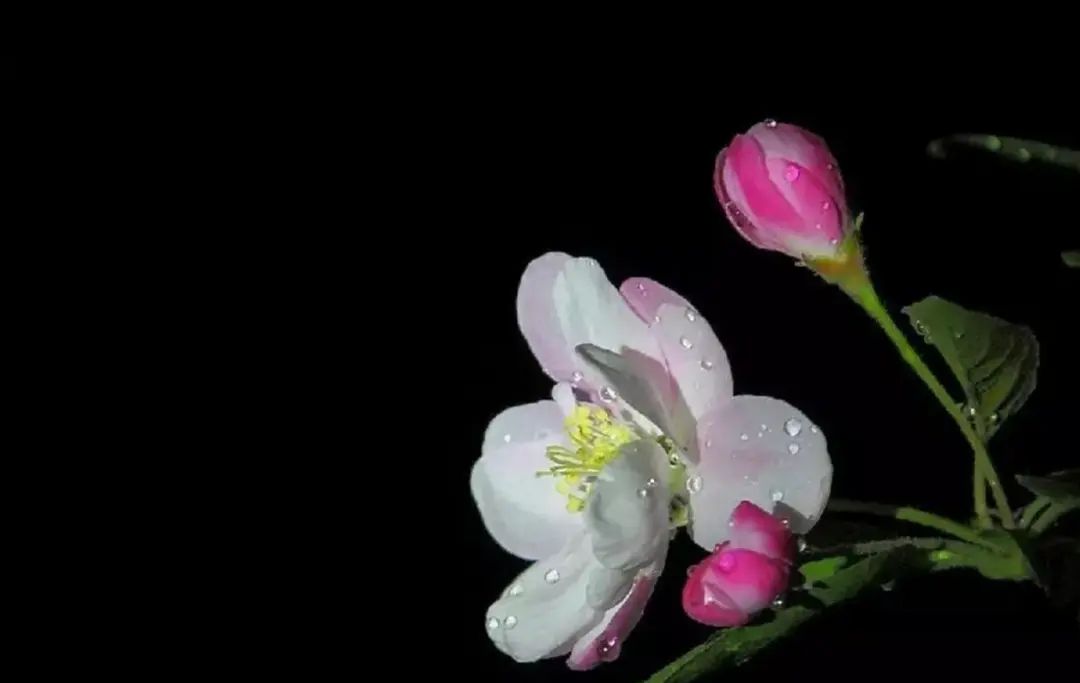 背景是黑色的拍照方法 - 宋马