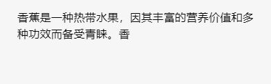 图片[2] - 微信小程序实现文字逐行动画效果渲染显示 - 宋马