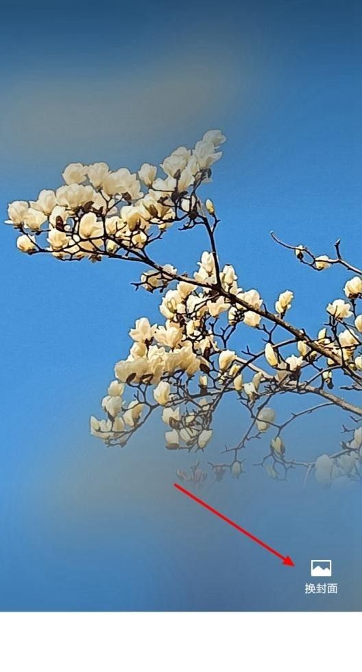 如何设置微信朋友圈背景图片？