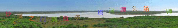 「微惠民」微信新功能，不小心转错账咋办？教你一招，立马追回你的资金哦！