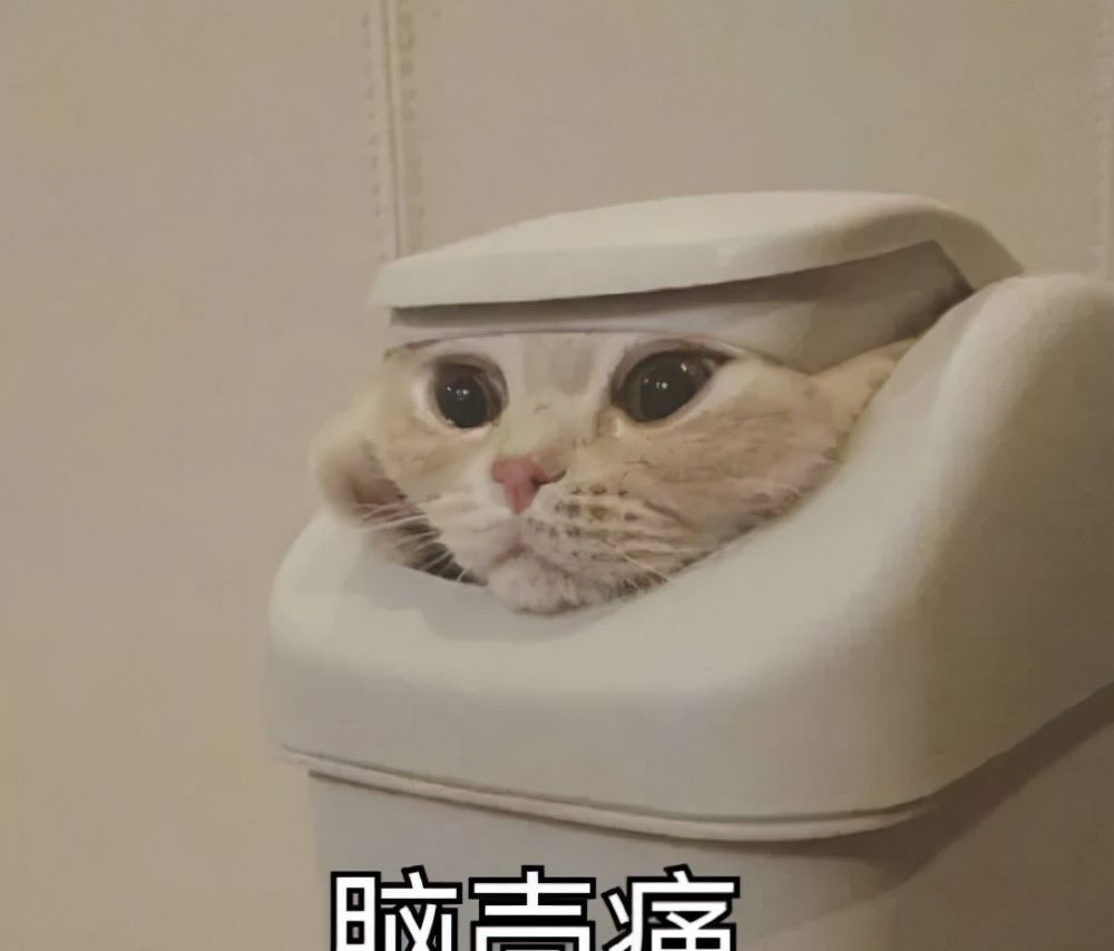 用微信跨平台互传文件，你学会了吗？