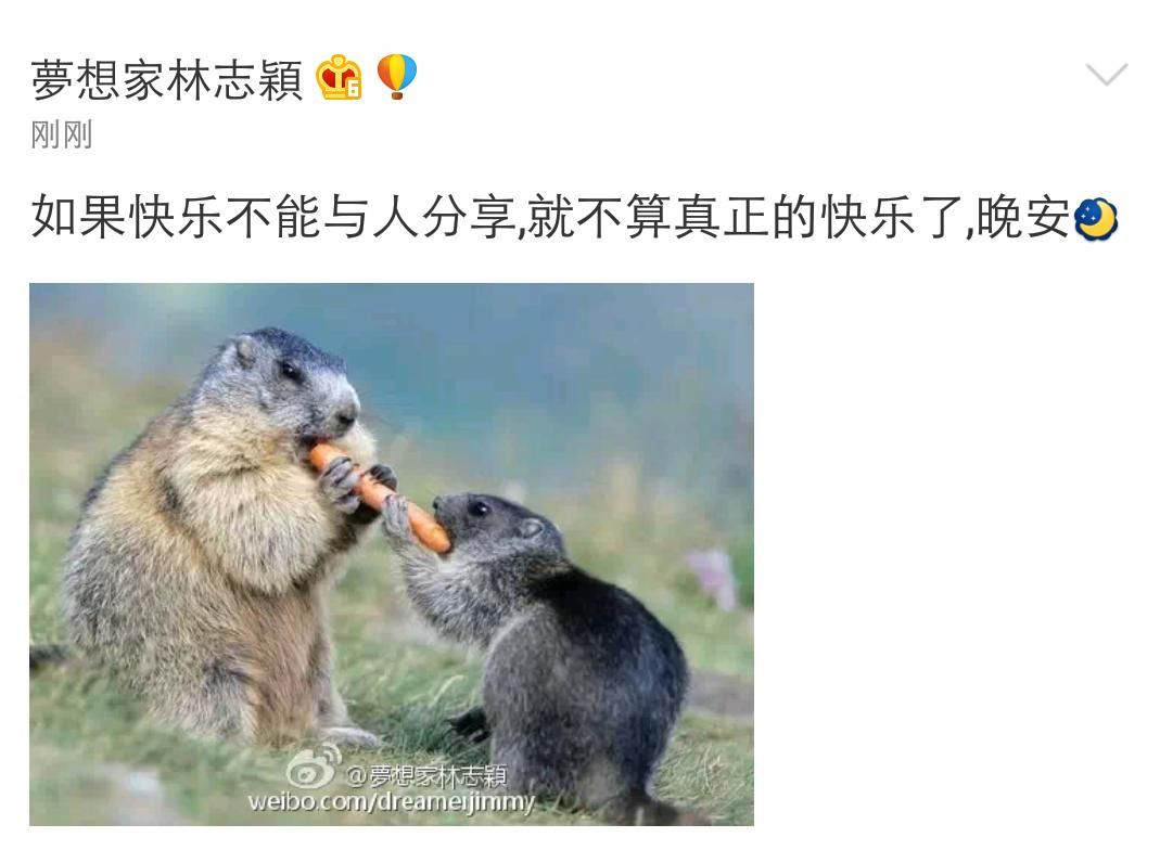林志颖终向广大网友“投降” 这次发微博不会被骂了吧
