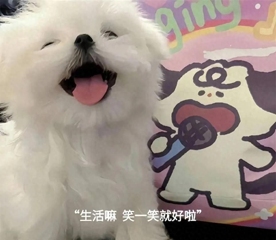 Wechat ｜微信朋友圈背景墙 - 宋马