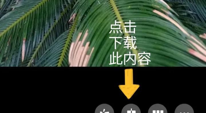 微信使用方法与技巧（五）——微信朋友圈的使用方法