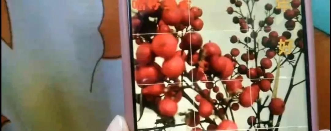 微信图片如何加上字？方法简单一学就会，手把手教会你