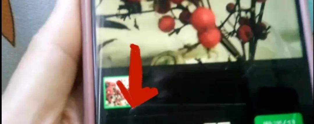 微信图片如何加上字？方法简单一学就会，手把手教会你