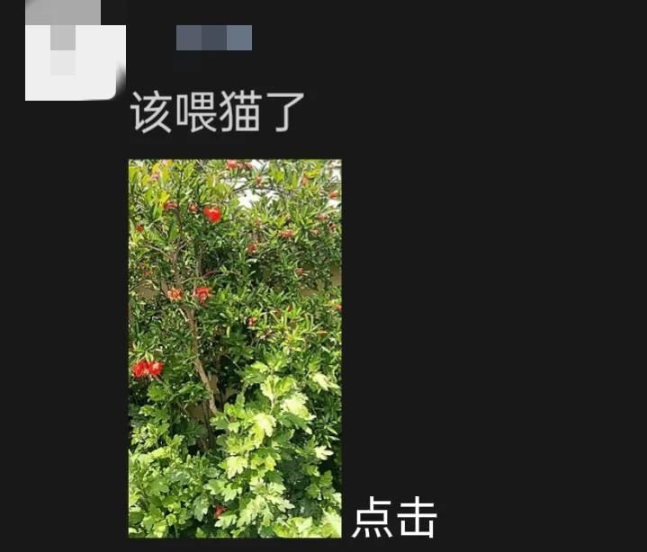 微信使用方法与技巧（五）——微信朋友圈的使用方法