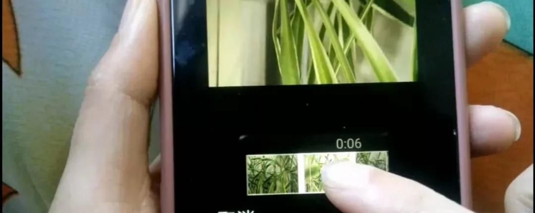 微信图片如何加上字？方法简单一学就会，手把手教会你