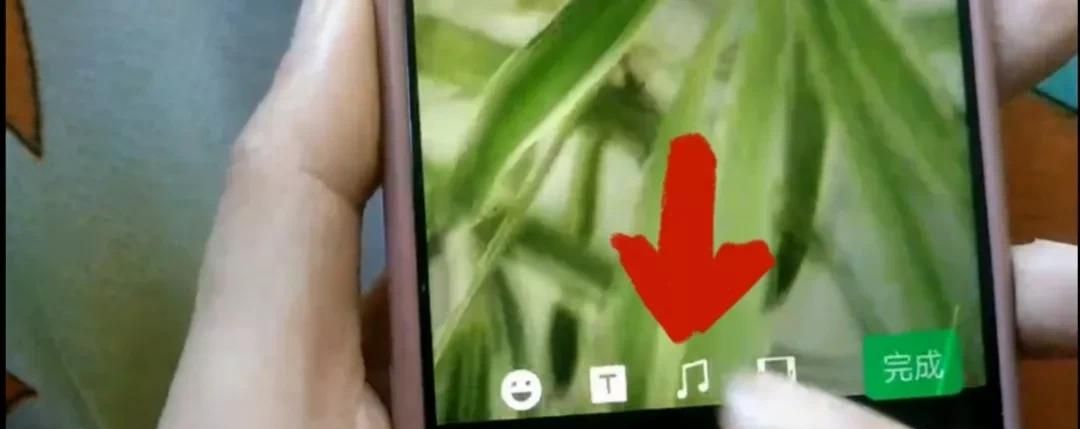 微信图片如何加上字？方法简单一学就会，手把手教会你