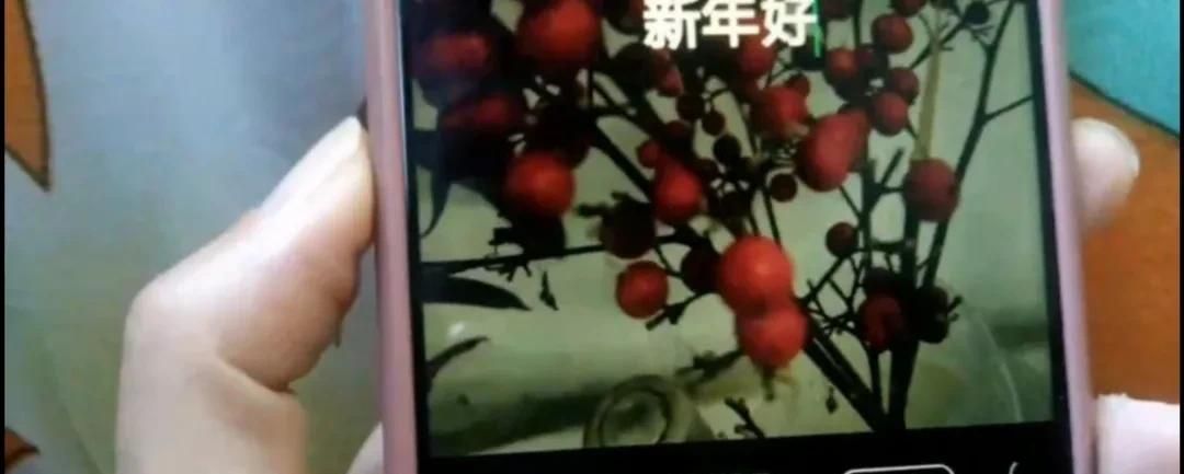 微信图片如何加上字？方法简单一学就会，手把手教会你