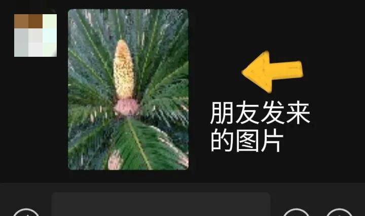 微信使用方法与技巧（五）——微信朋友圈的使用方法